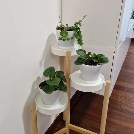 La Casa Di Vale Muse Appartamento