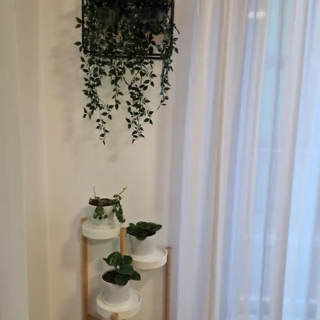 La Casa Di Vale Muse Appartement *