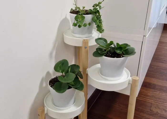 La Casa Di Vale Muse 아파트