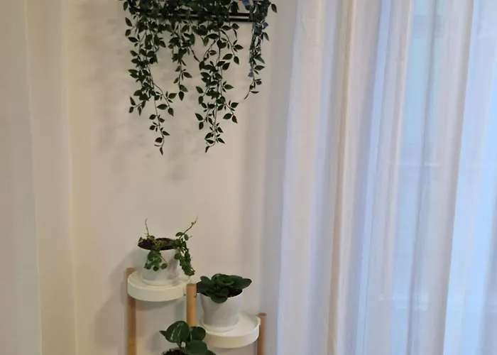 La Casa Di Vale Muse 아파트 *